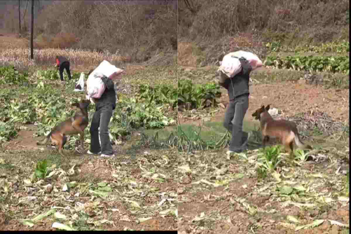 Una corsa per soccorrerla, nessuno poteva immaginare che potesse succedere