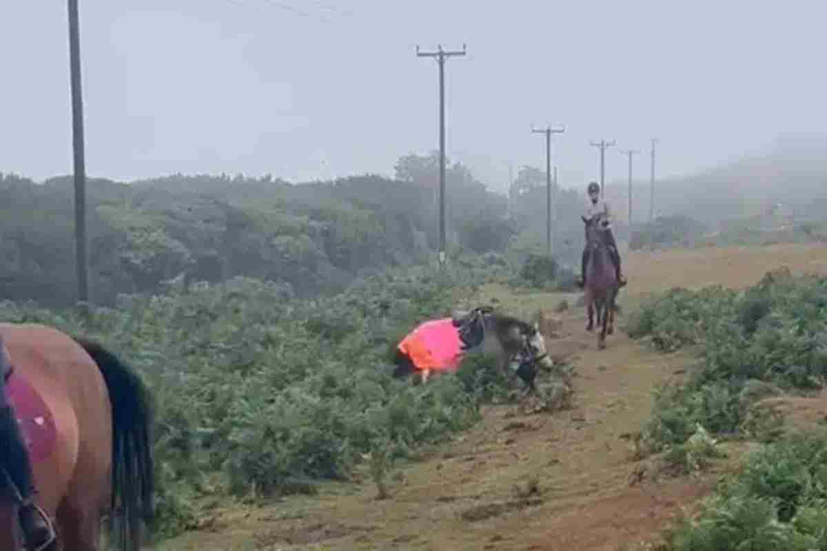 Cade da cavallo, in attesa di essere salvata succede qualcosa che nessuno si sarebbe aspettato, erano tutti intorno a lei