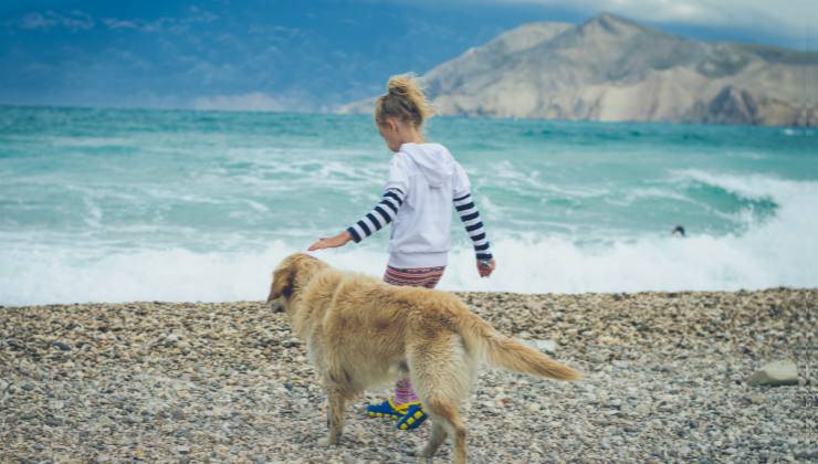 bambina con cane in spiaggia