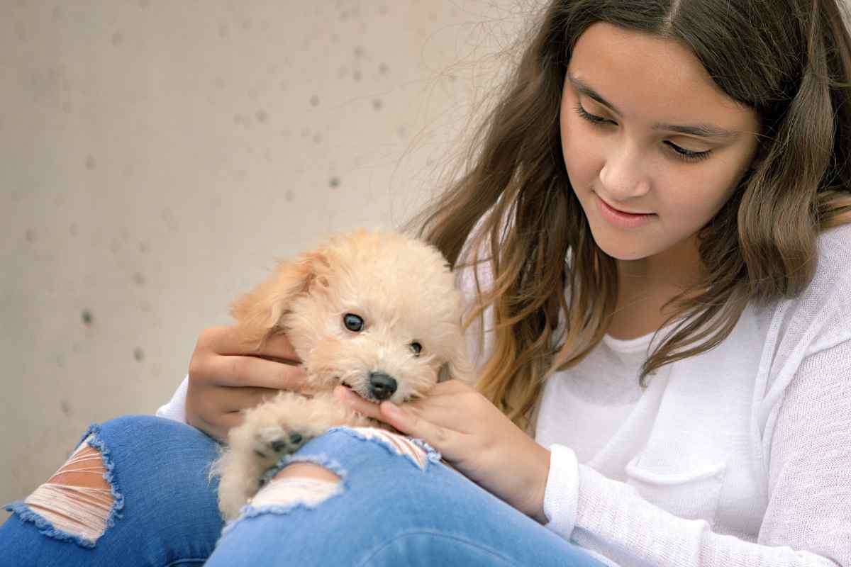 Il mio cane mi morde: non riesco a capire il suo comportamento, perché lo fa solo con me?