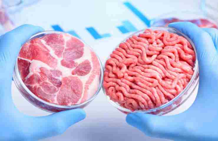 Carne coltivata in laboratorio, arriva il via libera per il pet food