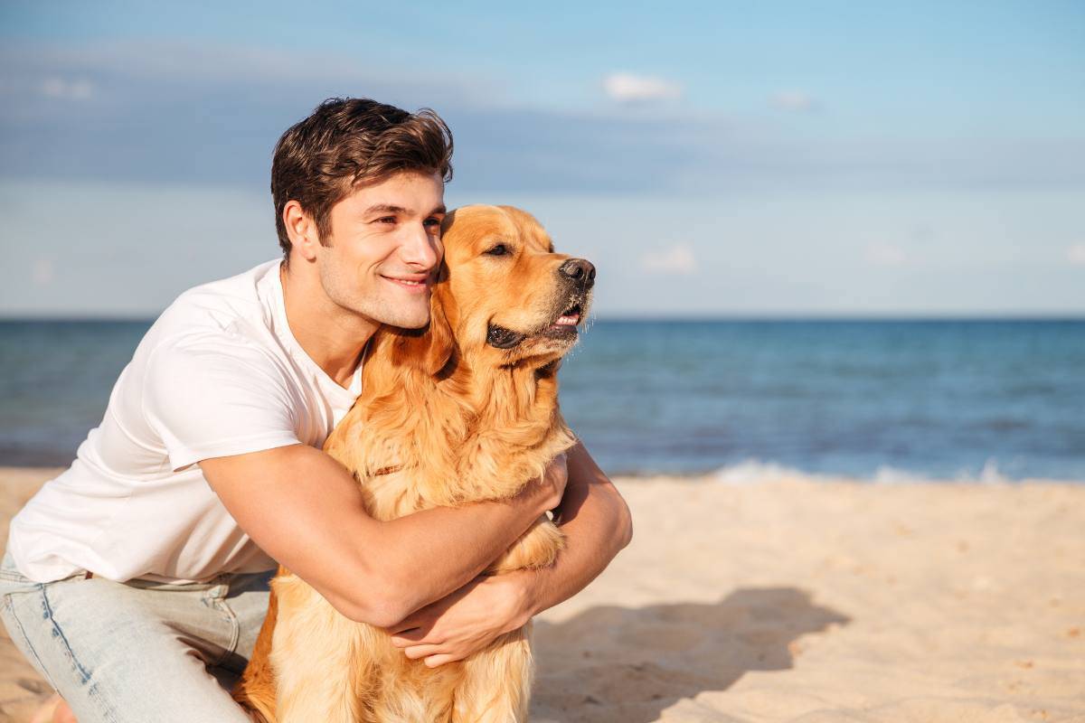 Portare il cane in spiaggia ora è possibile, non lasciarlo a casa! Tutte le migliori spiagge per te e Fido 