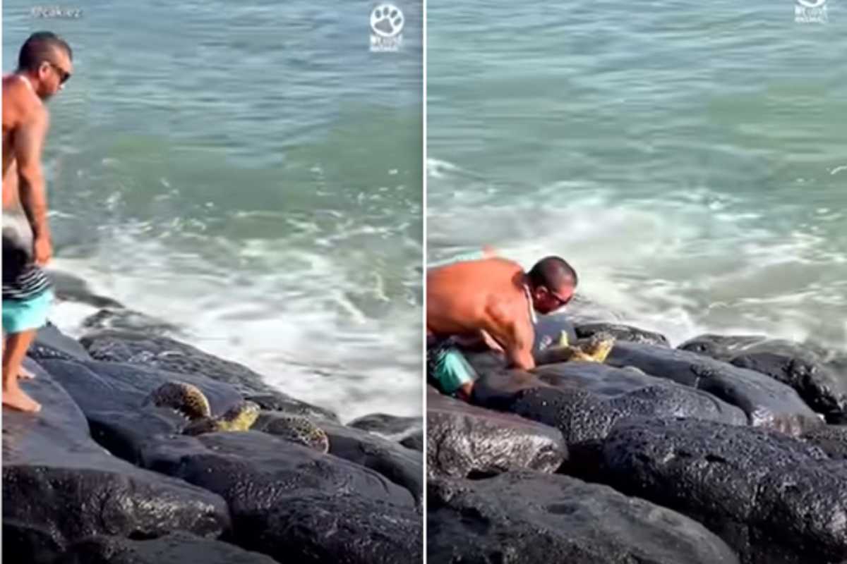 Se non ci fossero stati loro, sarebbe morta tra le rocce: il video shock