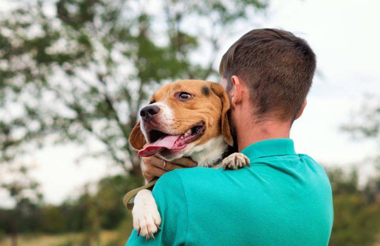 Cane in braccio al padrone