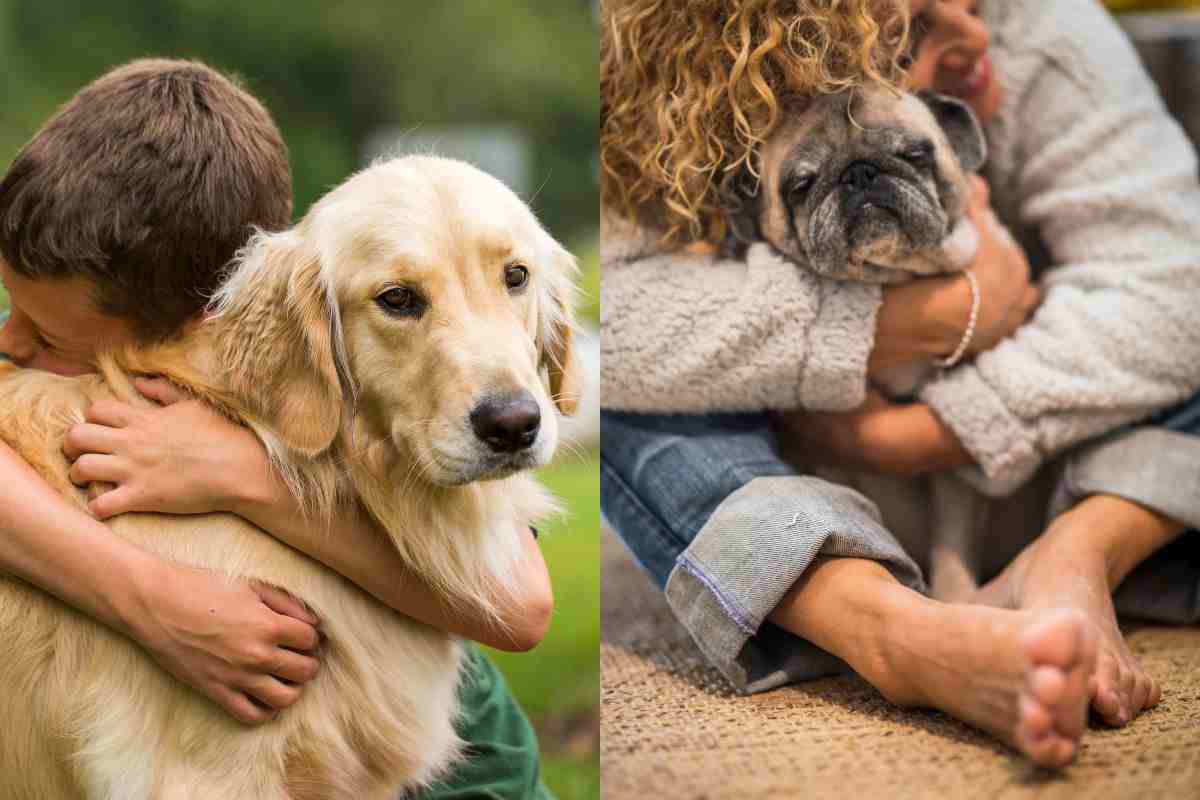 Padroni che abbracciano i cani