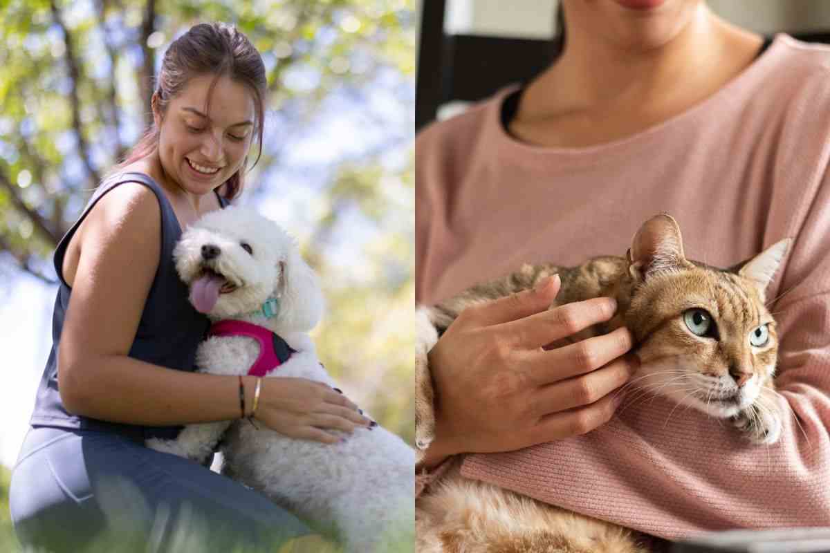 Padroni di cane e gatto