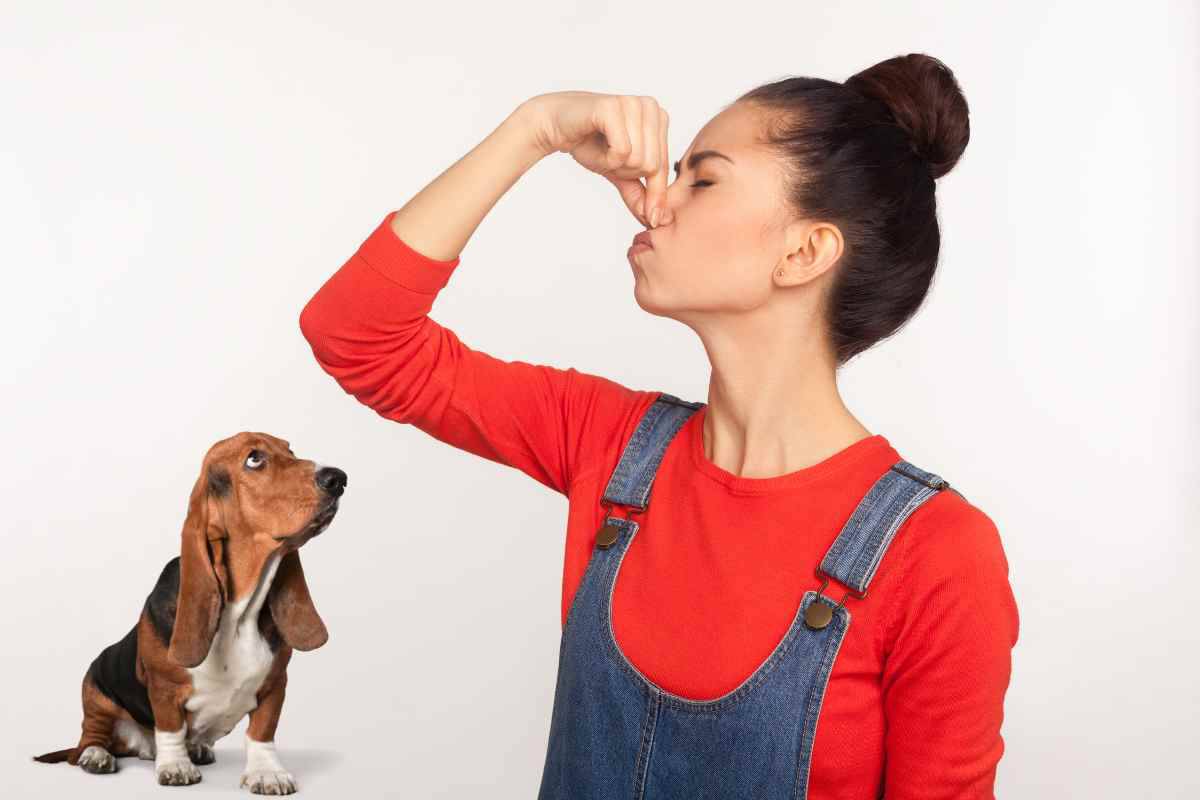 Senti uno strano odore? Fai attenzione il tuo cane potrebbe essere malato e potrebbe essere grave 