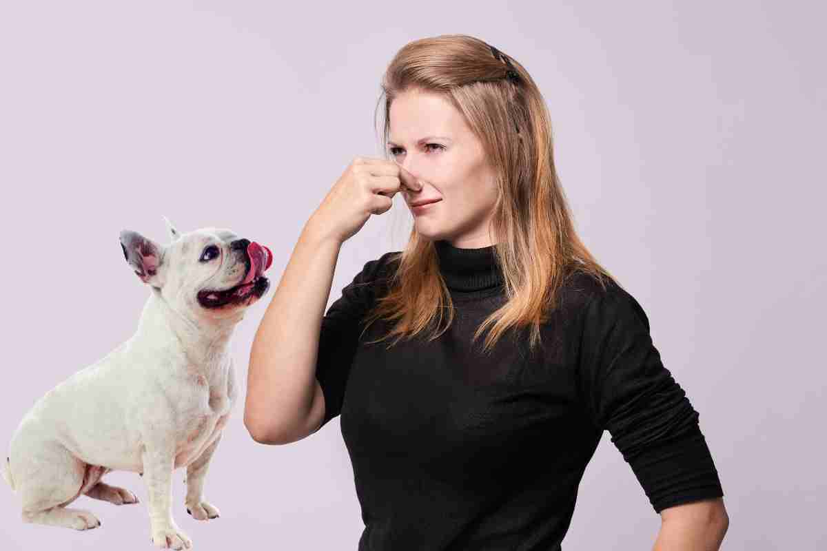 Senti uno strano odore? Fai attenzione il tuo cane potrebbe essere malato e potrebbe essere grave