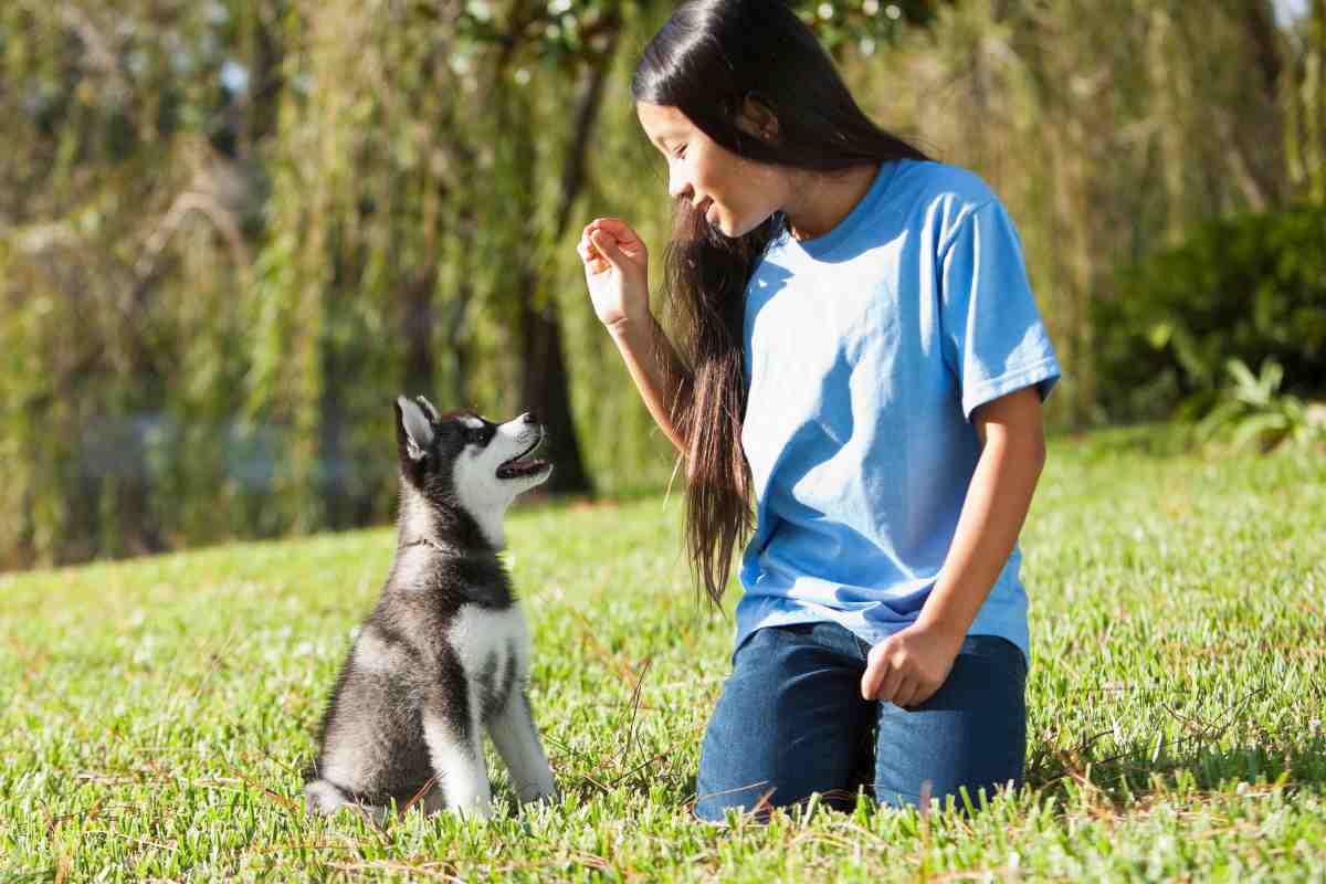 Addestrare un cucciolo non è mai semplice ma con questi piccoli consigli ci riuscirai sicuramente