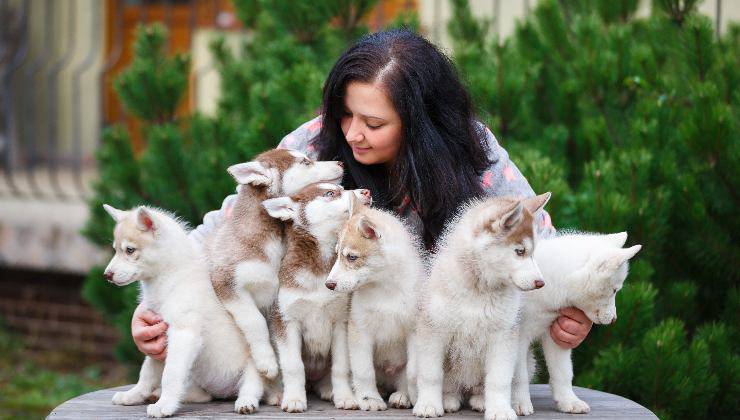 donna con cuccioli