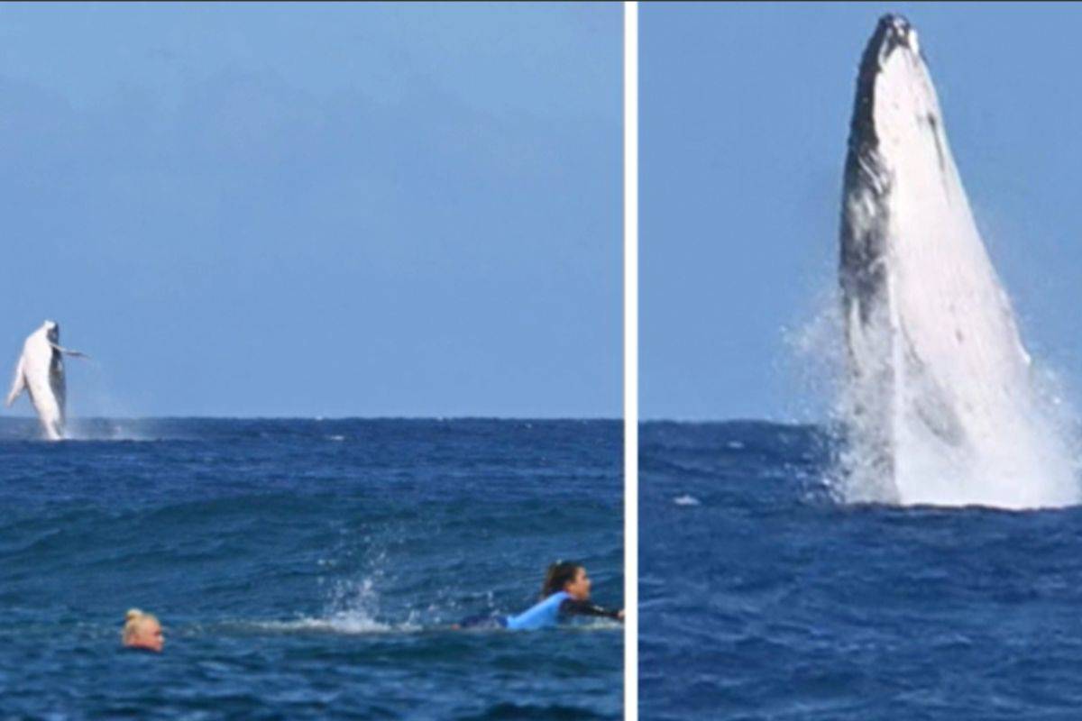 Quando lo sport incontra la natura il connubio è strepitoso, le surfiste restano estasiate durante le olimpiadi