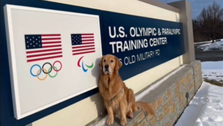 cane alle olimpiadi