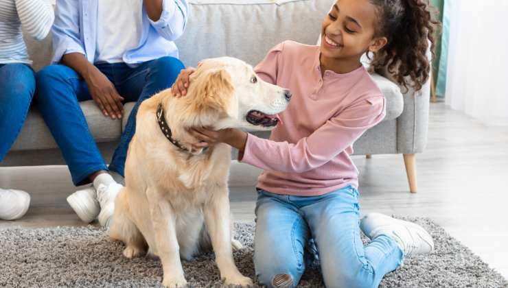 cane annusa gli umani