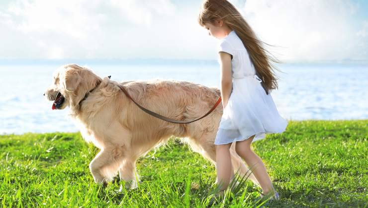 bambina con cane