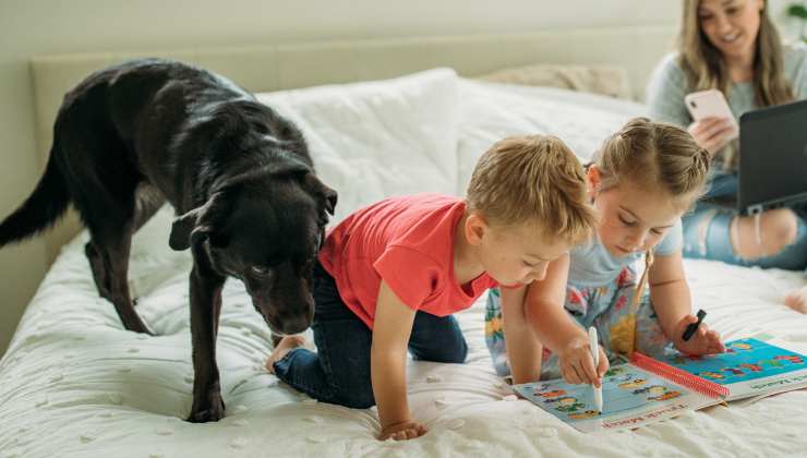 cane annusa gli umani quando rientrano in casa