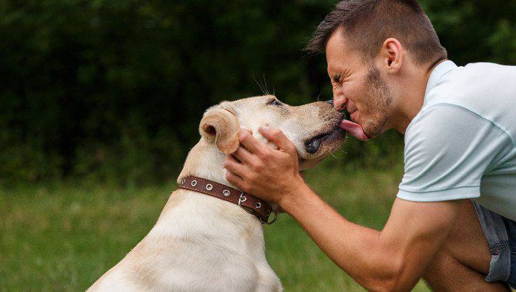 cane gioca con il ragazzo 