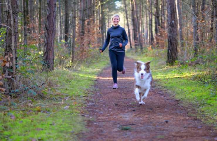 Cane corre