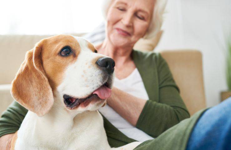 Cane e padrona