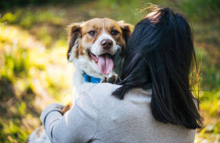 Cane in braccio alla padrona