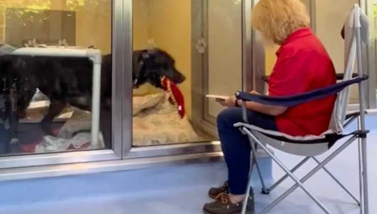 Cane si avvicina alla donna che legge per lui 