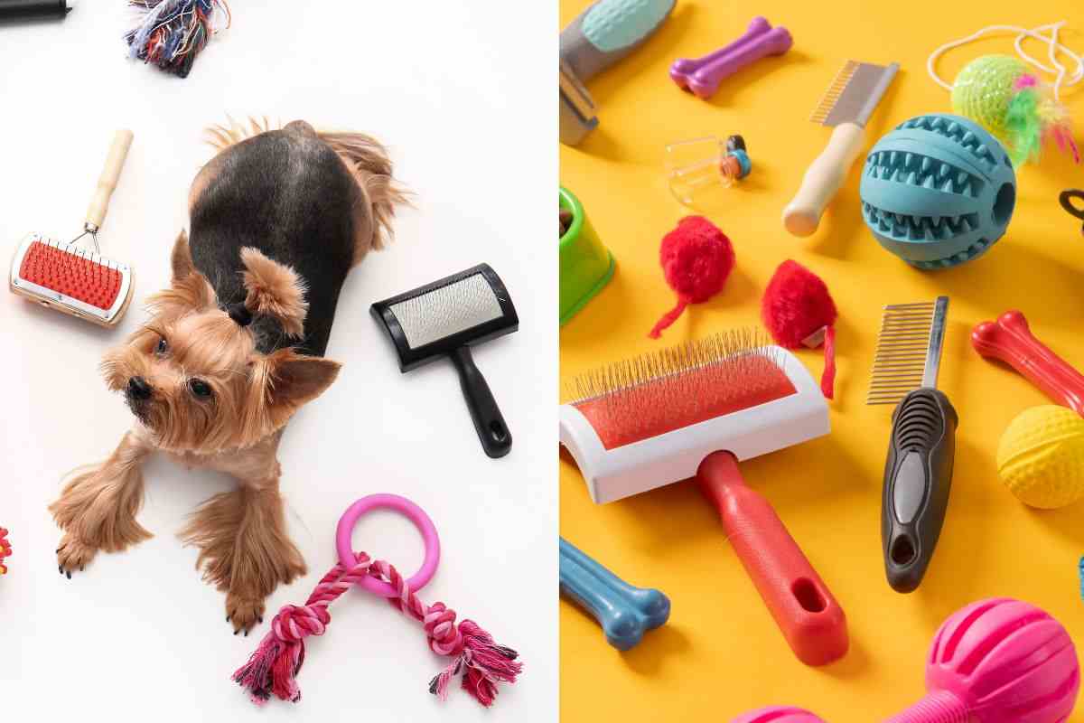 Accessori per il cane