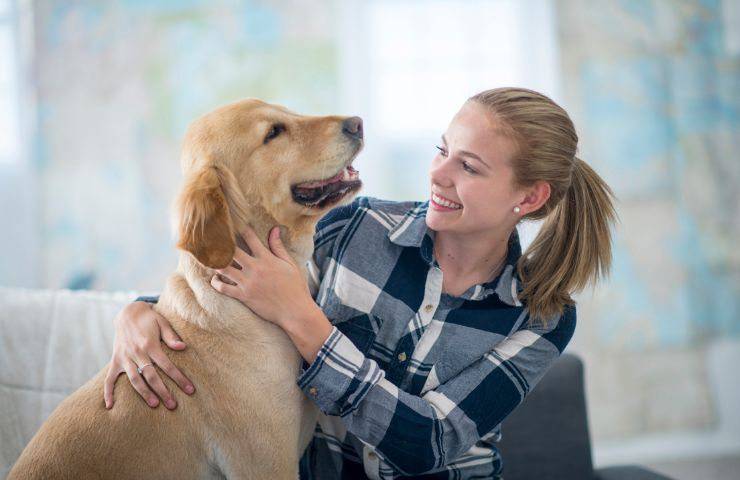 Cane e padrone si fanno le coccole