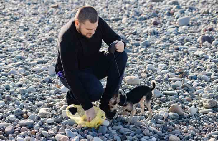 Padrone raccoglie bisogni del cane