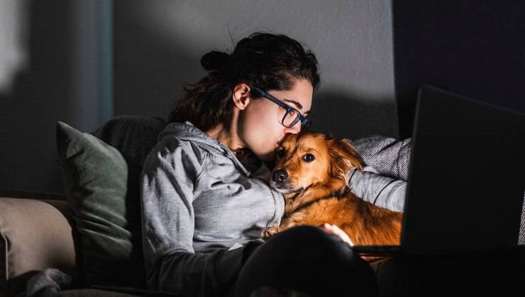 cane e proprietaria di notte sul divano 