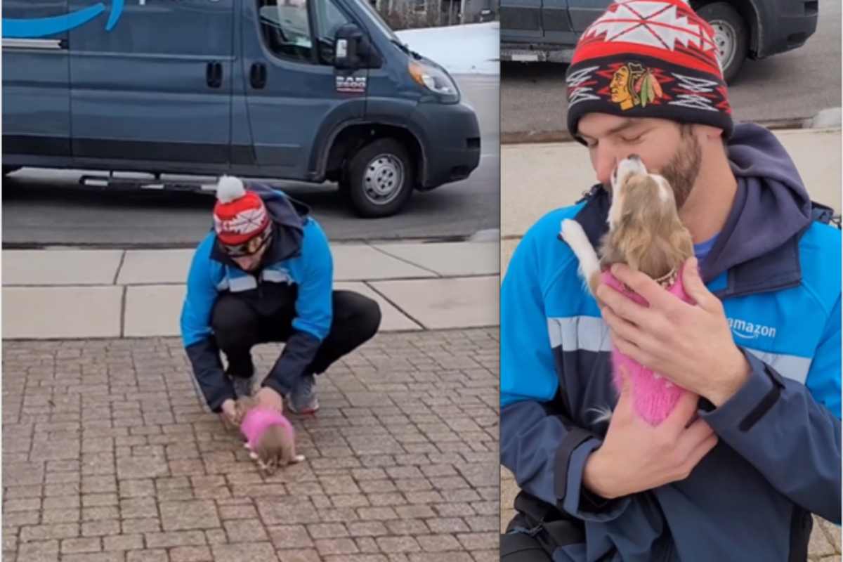 il corriere fa sempre un regalo alla cagnolina