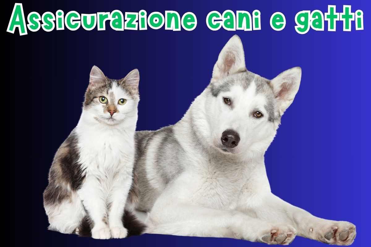 assicurazione cani gatti