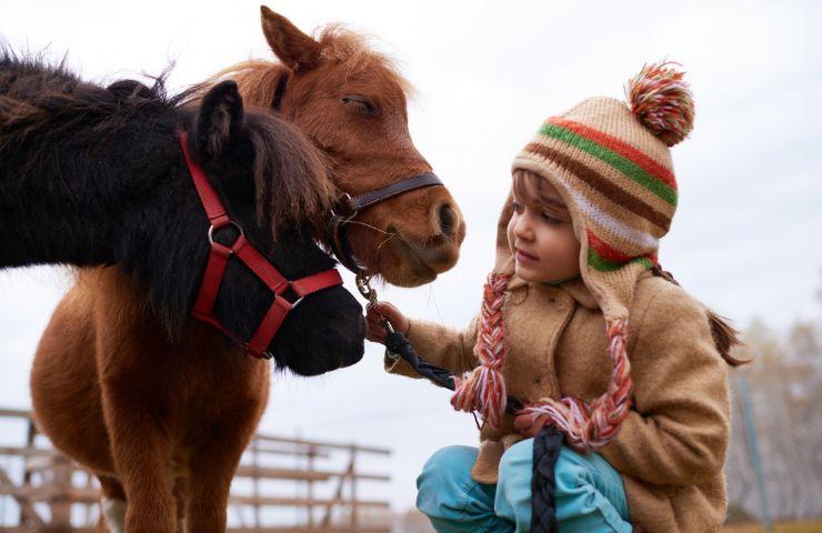 Pet Therapy col cavallo