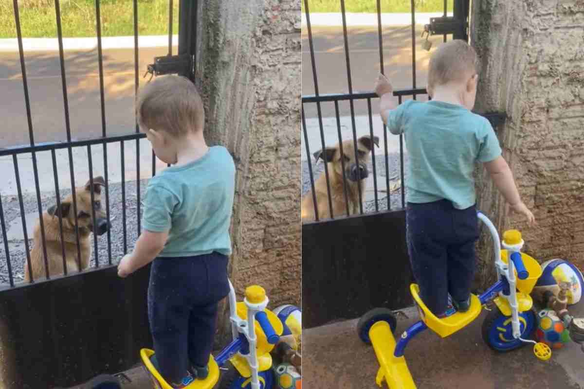 Bambino si arrampica sul triciclo