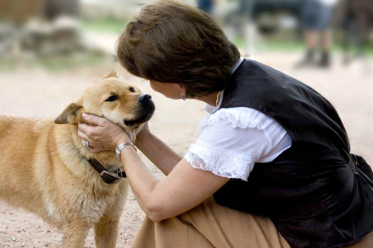 padrone parla col cane