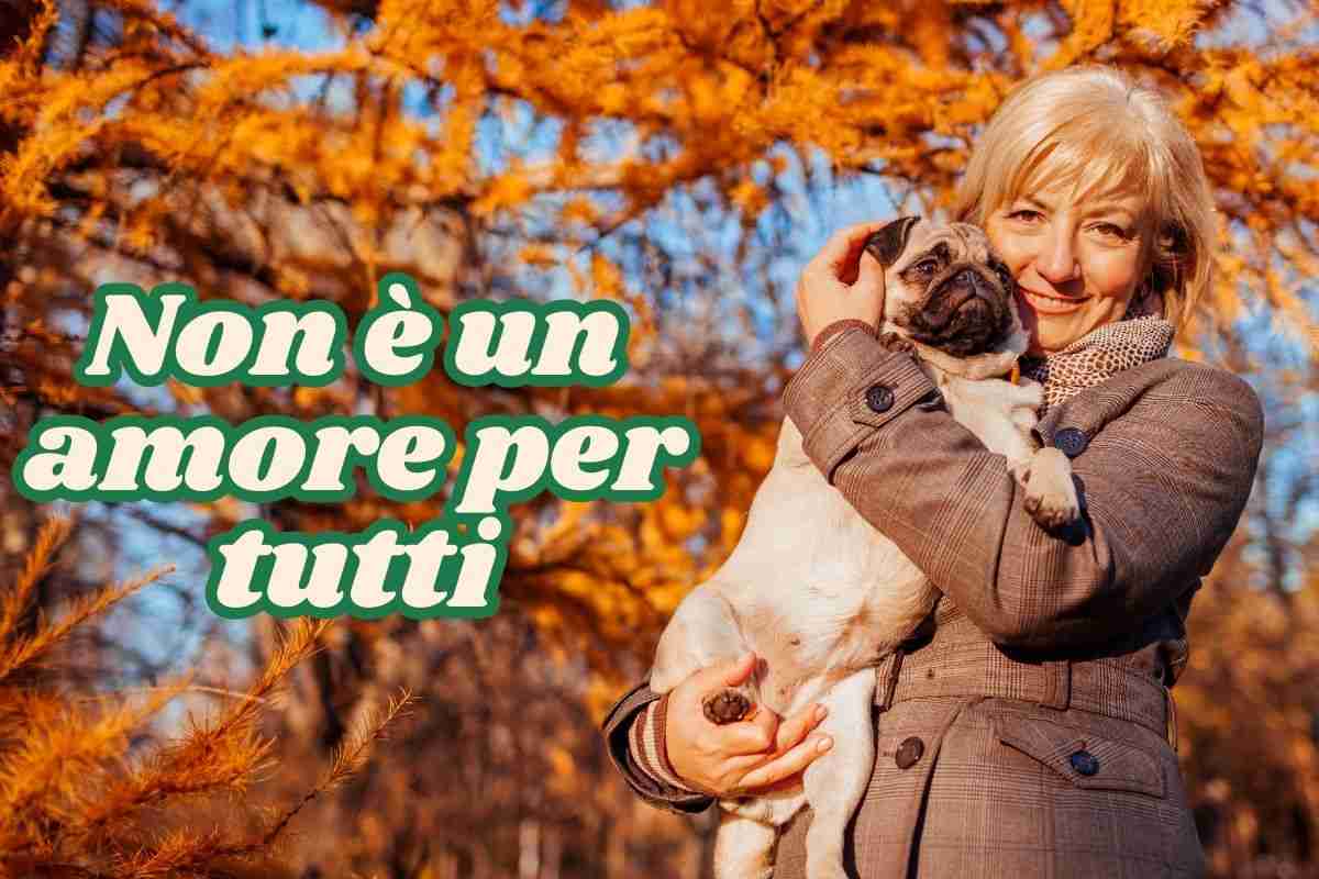 amore cani