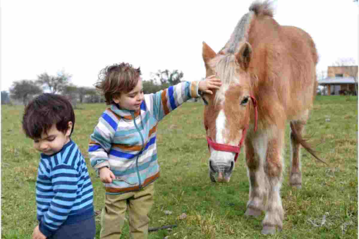 il nuovo studio lo rivela gli animali fanno bene alla salute 