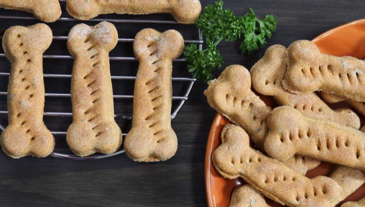 biscotti per cani fatti in casa