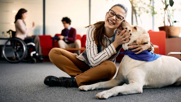 pet therapy 