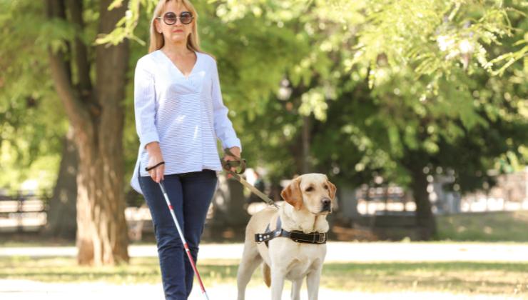 cane guida aiuta donna non vedente