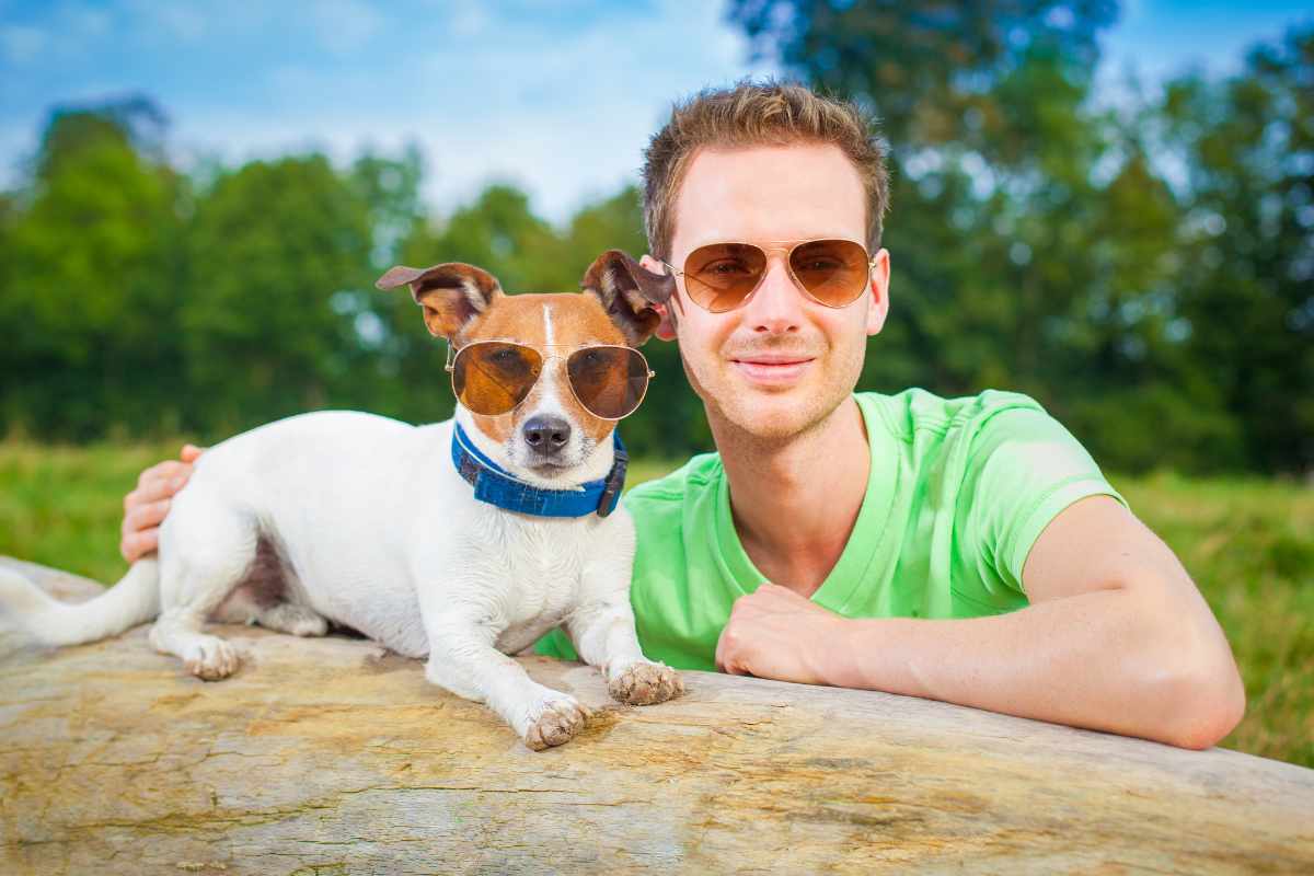 cane con occhiali da sole insieme al suo umano dimostra l'ultimo stadio di evoluzione degli animali