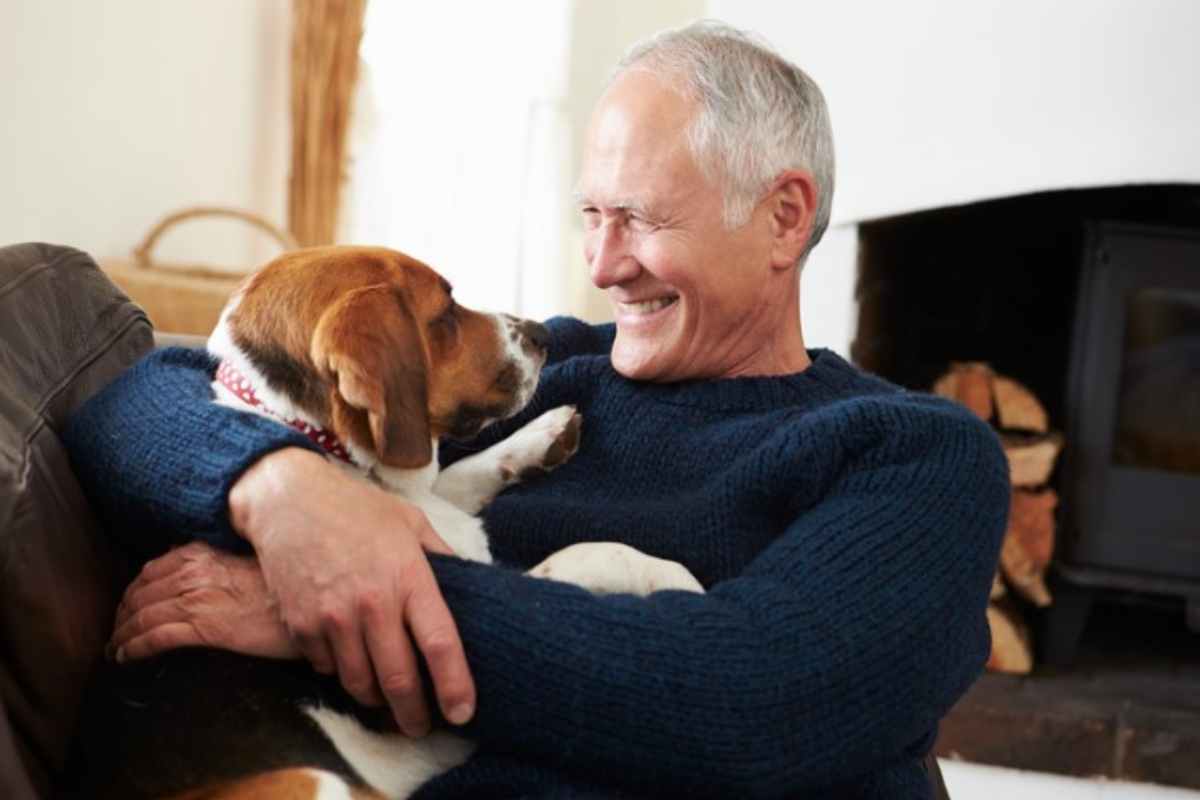 interazione tra cane e umano