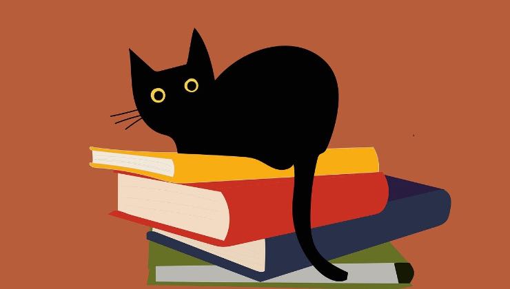 Pila di libri per le lauree dei gatti 