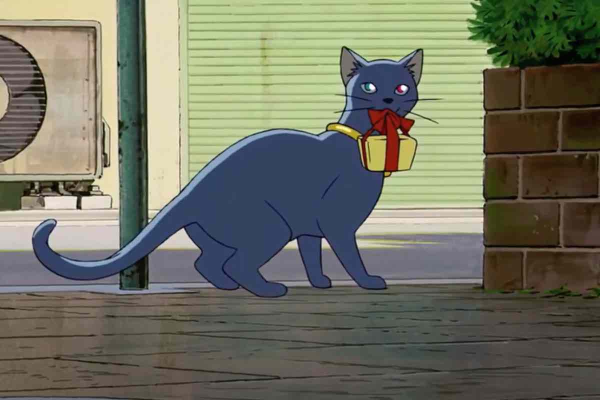 Uno dei gatti dello studio Ghibli in Giappone