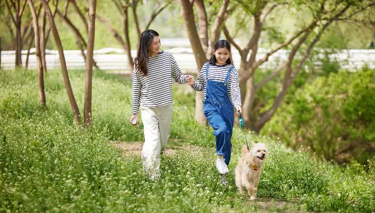 cane al parco 