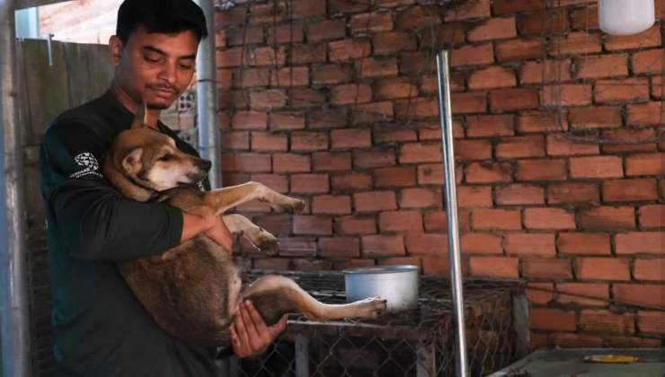 Uomo salva un cucciolo dal ristorante dove vendevano la carne dei cani