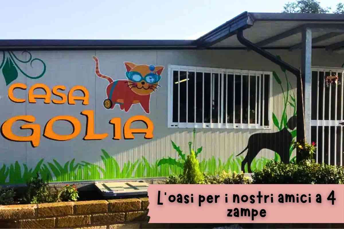 casa golia