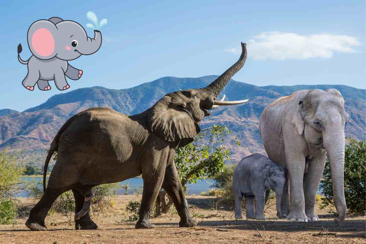 elefante con proboscide