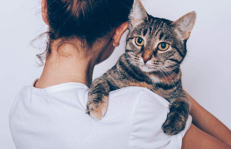 gatto in braccio alla padrona