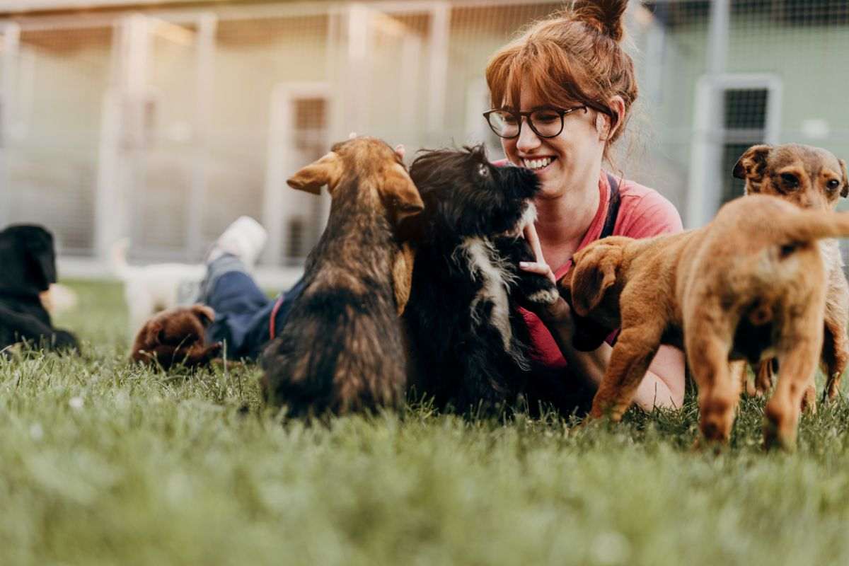 cuccioli e donna he li coccola