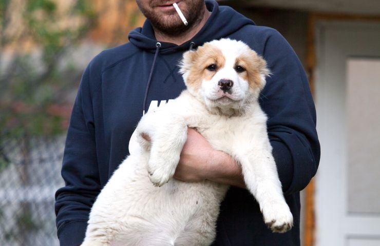 Fumare con in braccio un cane