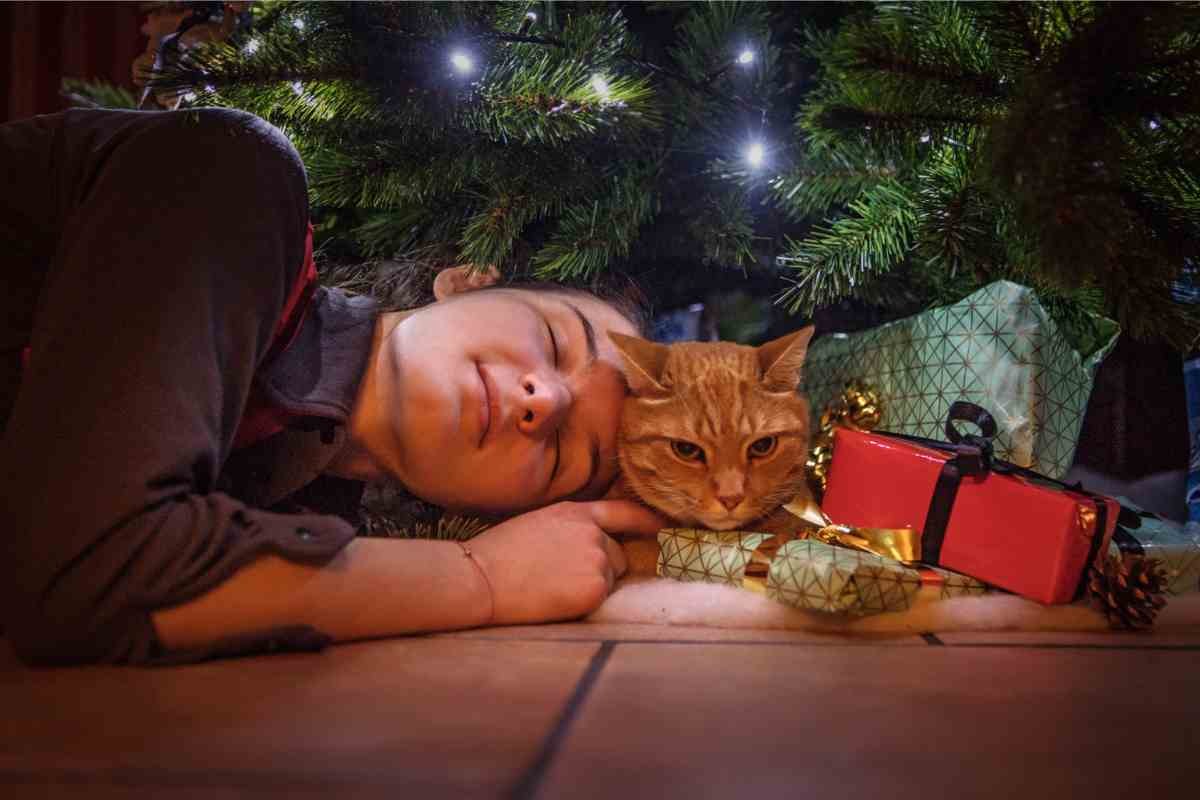 Gatto sotto l'albero di Natale